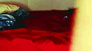 Ebony goddess and tatted king share passionate sex