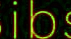 the family we need to spice things up