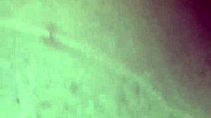 Wife With Ex And Husband