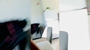 i'm youngstarbrazy and i does passionate sex on webcam with my cute couple.