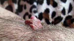 Close up view of big clit reaching orgasm