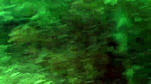 Adventure Time In Public Woods