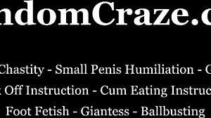 mistress trains you to be her personal slave with humiliation and ball kicking