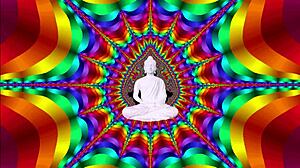 Mix of beautiful young girls with big tits