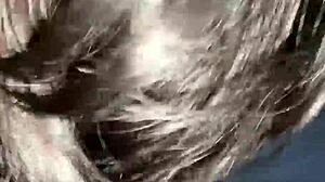 Impressive Sloppy Sucking On Big Black Cock