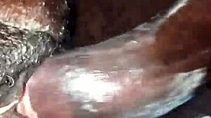 fucking my stepmom's pussy and asshole