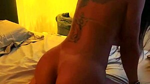 kalena mitrak rides horse and sucks all the milk in bedroom quickie