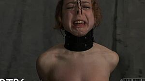 i share my sadomasochism stories of fucking, sucking, and bdsm with a slut