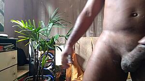 Hot midnight dream with agarabas and olpr