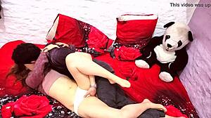 case no 7906286 bikini thief river lynn will pounder