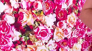 Bella Roland Big Cock Pov Anal Deepthroat Facefuck Cum Swallow