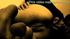 What is this nightmare?