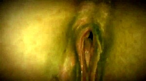 My mix of slutty hoes SHOWING OFF their HOLES, TITS, and BUTTS in close-up pov action.