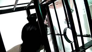 Big boobed Alexis Silver and Michelle Thorne in hot FFM BDSM threesome