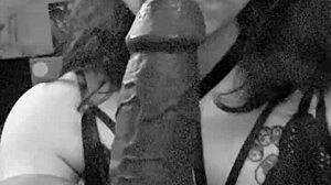 Bbc dildo gets deepthroat sucking from amateur latina in close up fetish play