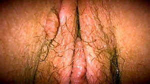 My mix of slutty hoes SHOWING OFF their HOLES, TITS, and BUTTS in close-up pov action.