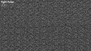 hey, check out this real mixed wrestling match from fight pulse