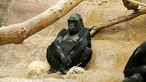 Top Reasons Girls Fail To Cum Wet