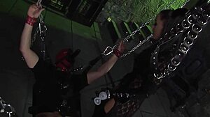 Ebony big ass fucked hard.  