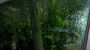 a fan discovered belinha watching the live stream with excitement