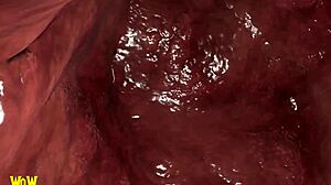 Vore giantess Alexstrasza explores the giantess nexus in a cartoon adventure with huge tall figures and swallowing scenes.