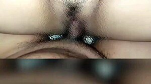 Asian chubby pregnant women engage in intimate activities