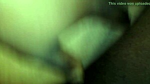 bbw riding with creamy pussy on big black cock in cowgirl position.