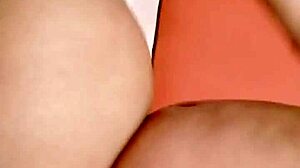 Sundaydogood614 - update 241 - vid 20240613 124127 - jun 13 2024