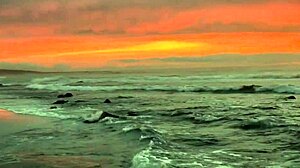 dominatrix mistress april takes control in this ebony femdom scene, training rosie as her pee toilet slave