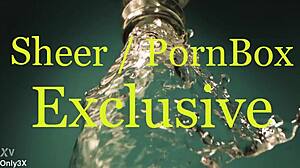 أنجلينا فالنتاين تأخذ زب عملاق في لعق كس عنيف بين الأعراق