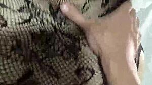 finally my wifes friend let me fuck her in lingerie