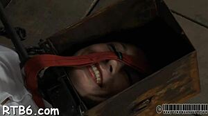 Tormented Is Giving Master a Lusty Oral-Service. She's Bound and Punished in Hardcore BDSM Action! 🔥