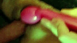 Exploring the Essence of Cheyenne in Detail