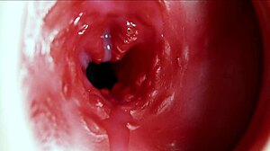 big orgasm fills anus with fantastic moaning and tons of sperm