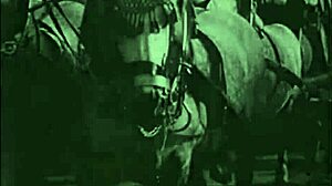 collection of vintage drawings from antique and retro eras