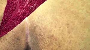 Moray Eels Captivate With Intense Brown Eyes In USA