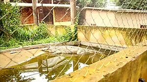 a footballer vacationing in africa encounters mature woman for quick outdoor interracial public encounter in tourist park