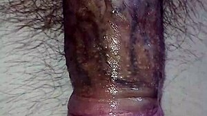 सोलो लड़का मॉन्स्टर लंड को लार टपकाते हुए हिलाता है कन्वल्सिव झड़ने के साथ