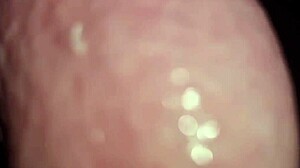 anarchia orrore e porno