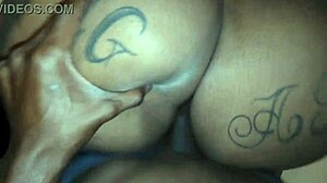 100 anal com essa bbw gostosa