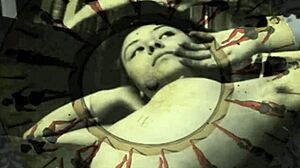 vintage very old pornography? what makes this beaver hairy pussy retro classic stand out?