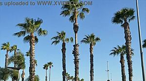 Point Break XXX Beach Movie Trailer with Big Ass Blonde Fucking Monster Cock