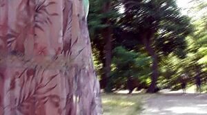 Do you like watching a hairy mature woman flash her pussy in this transparent dress outdoors?