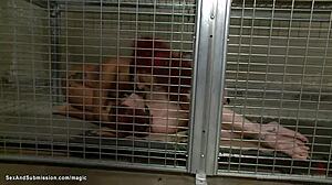 Master Dominates Three Bound Slaves With Deep Anal Fucking And Buttplug Bondage