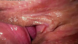 Her Tight Pussy Struggles with My Huge Cock as We Work It Out in POV