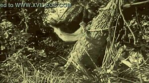 嘿 想看复古毛逼和大奶？黑暗灯笼的《美女与野兽》