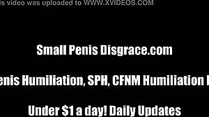 Your PENIS Is Just So TINY And PATHETIC In SPH