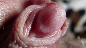 You know I've got this huge clitoris I'm rubbing and jerking to orgasm right now