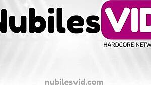 real stepsis crashes in van overnight