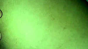 my ex's pussy still gets so wet and inviting during those steamy moments